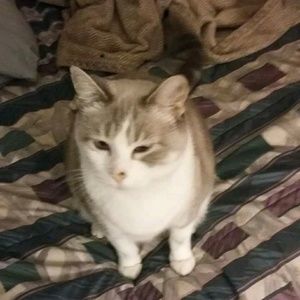 Meet your Posher, Jaime